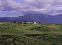 Tralee # 18