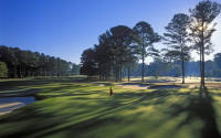 Atlanta AC 15th
PGA Championship venue