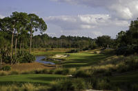 Calusa Pines 11th Naples Florida