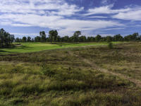 Loop Forest Dunes