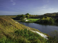 Streamsong Blue 7th