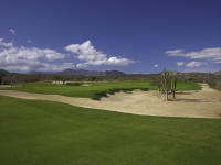 Campestre 16th