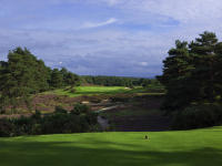 Sunningdale 5th