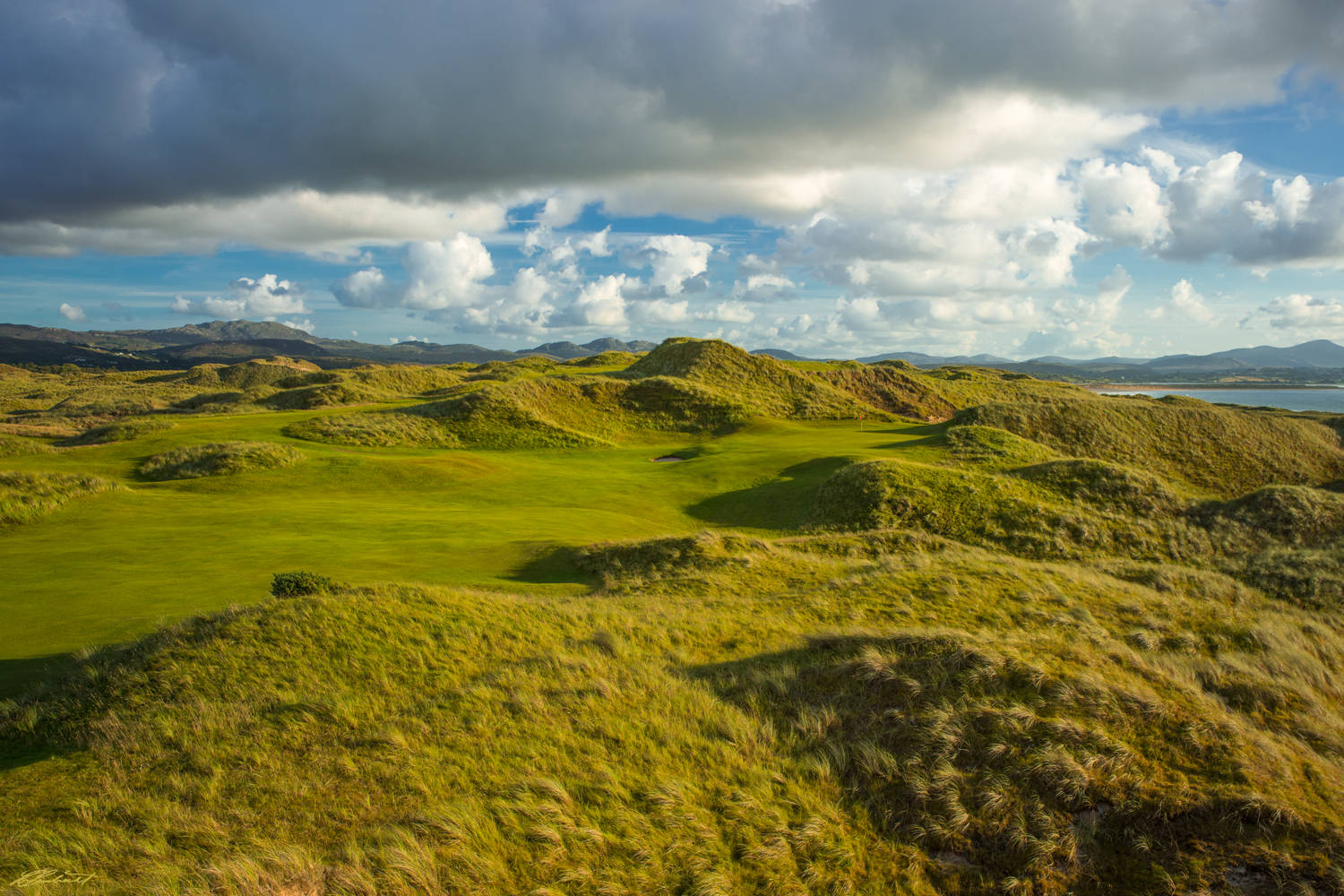 © Laurence Casey Lambrecht