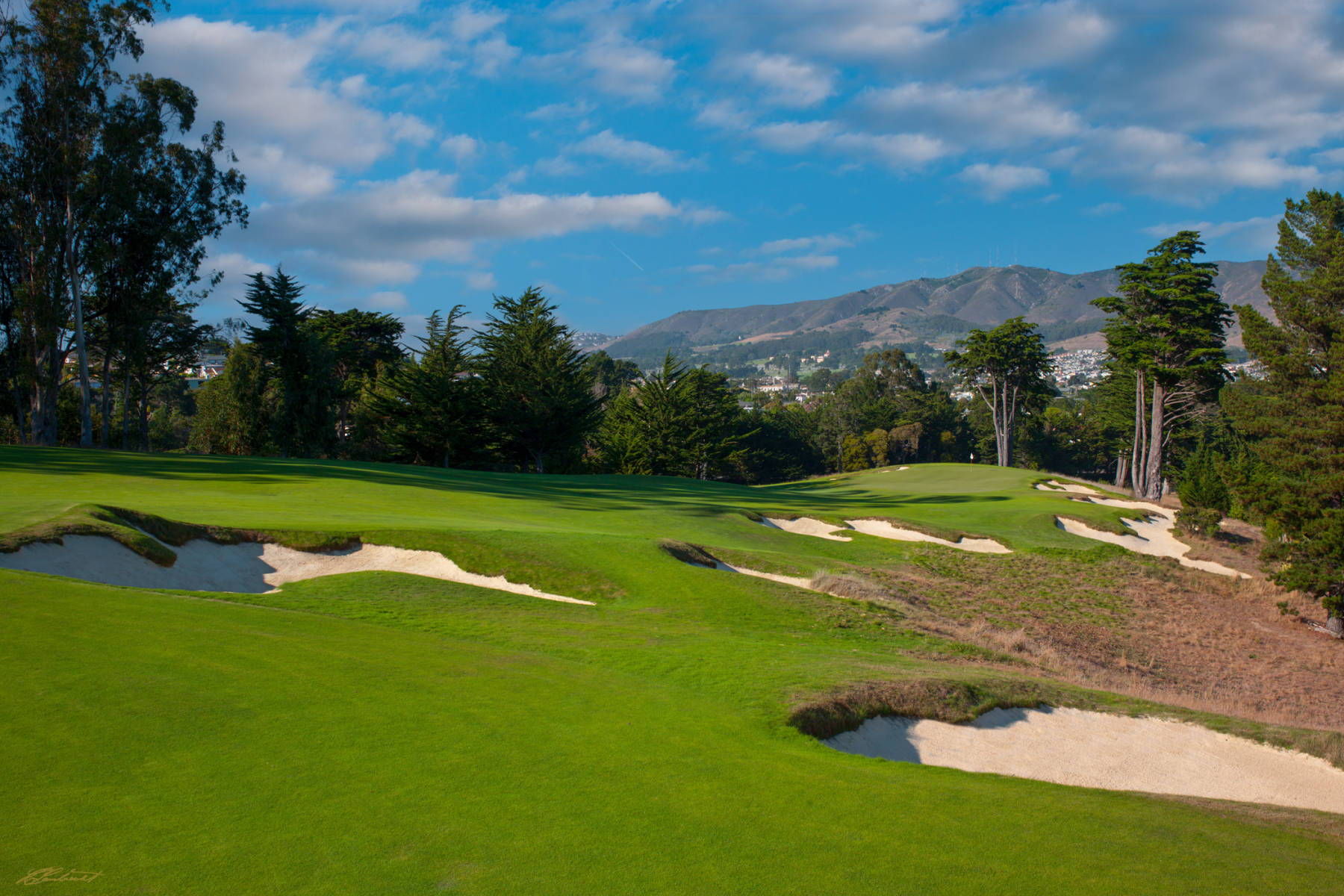 © Laurence Casey Lambrecht