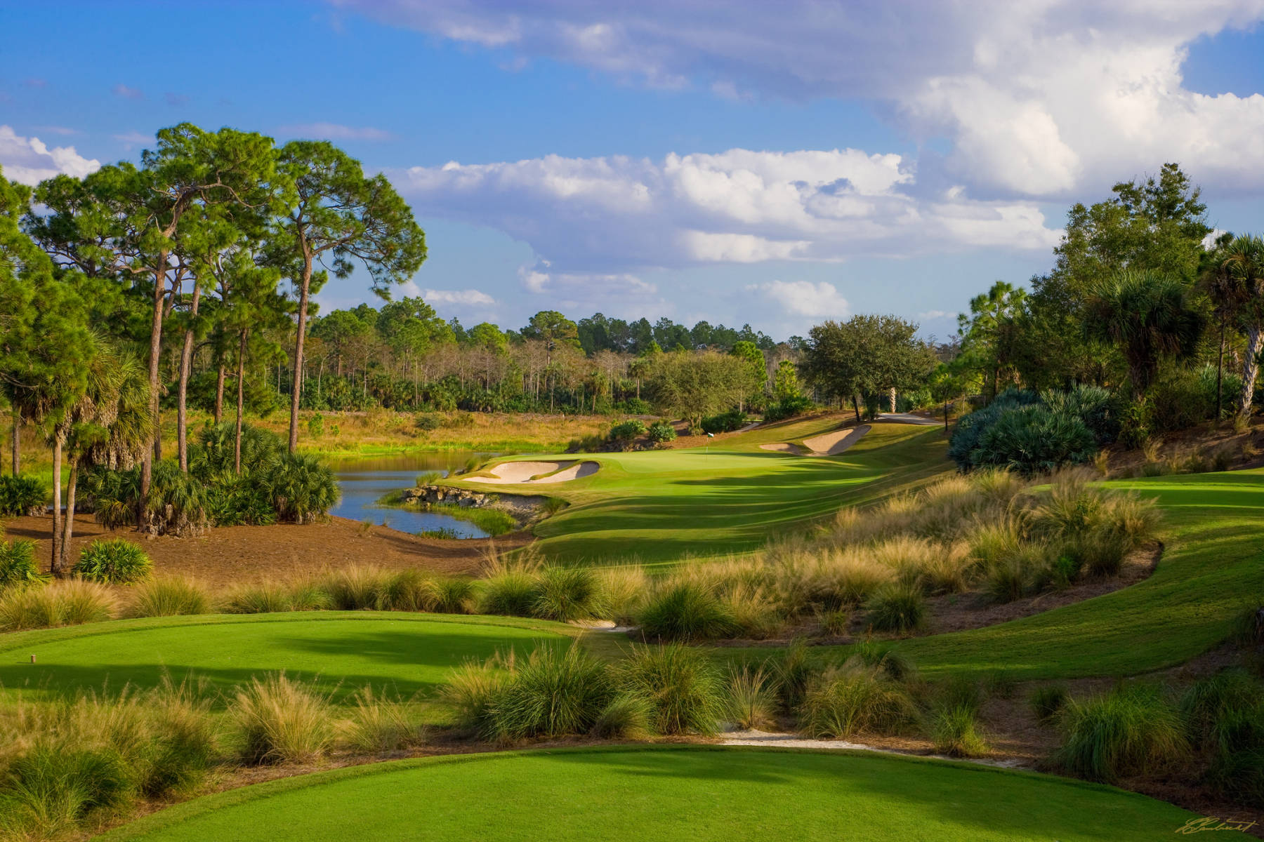 © Laurence Casey Lambrecht