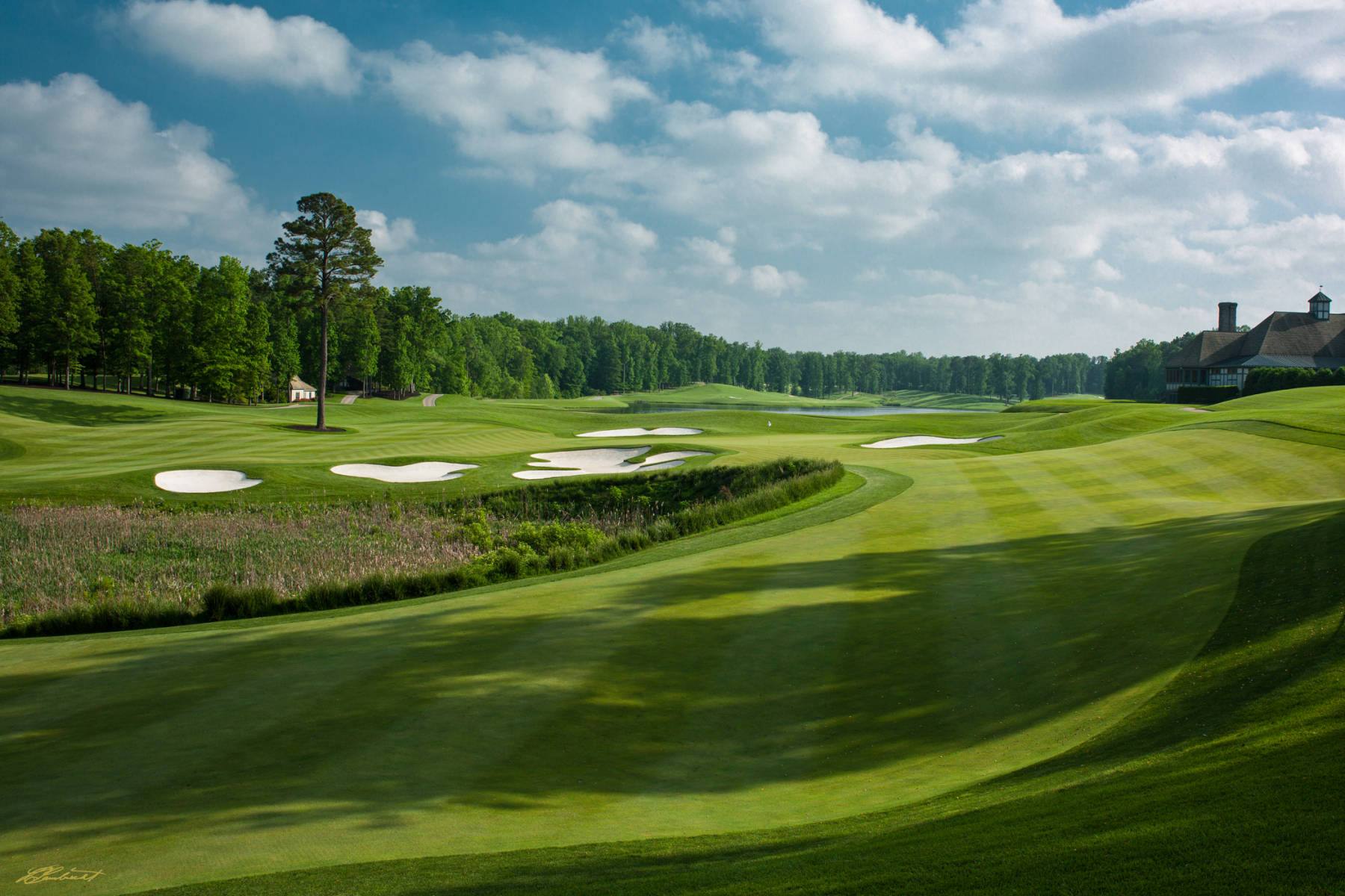 © Laurence Casey Lambrecht