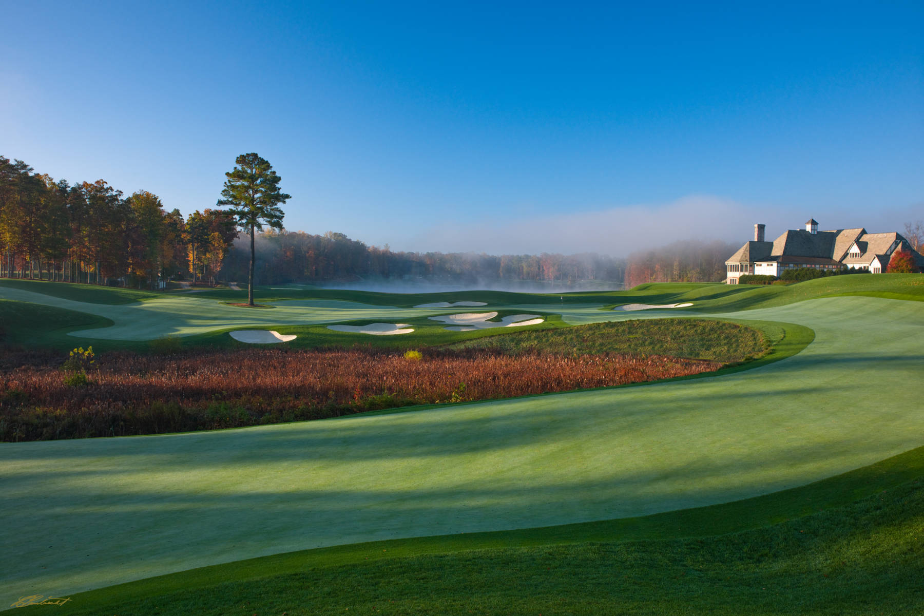 © Laurence Casey Lambrecht