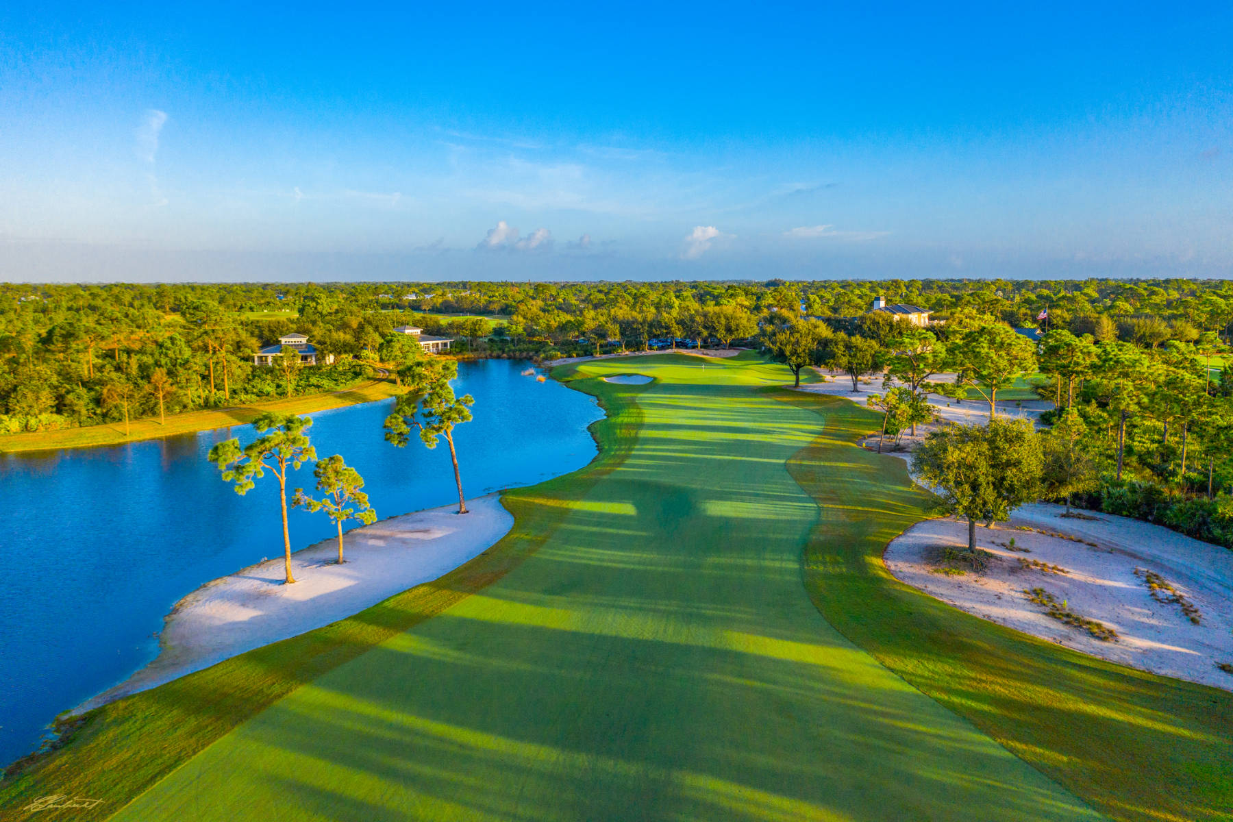 © Laurence Casey Lambrecht