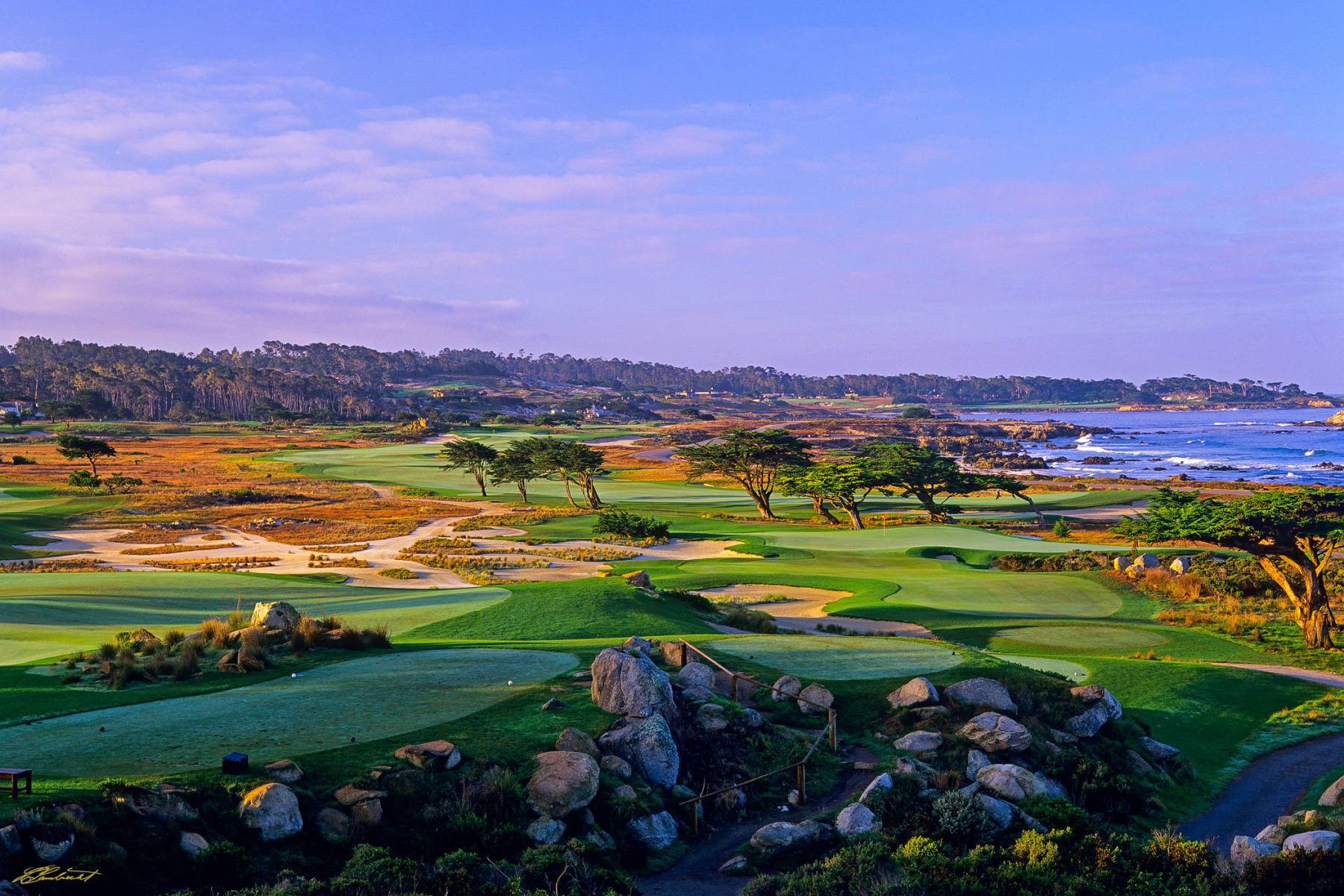 © Laurence Casey Lambrecht