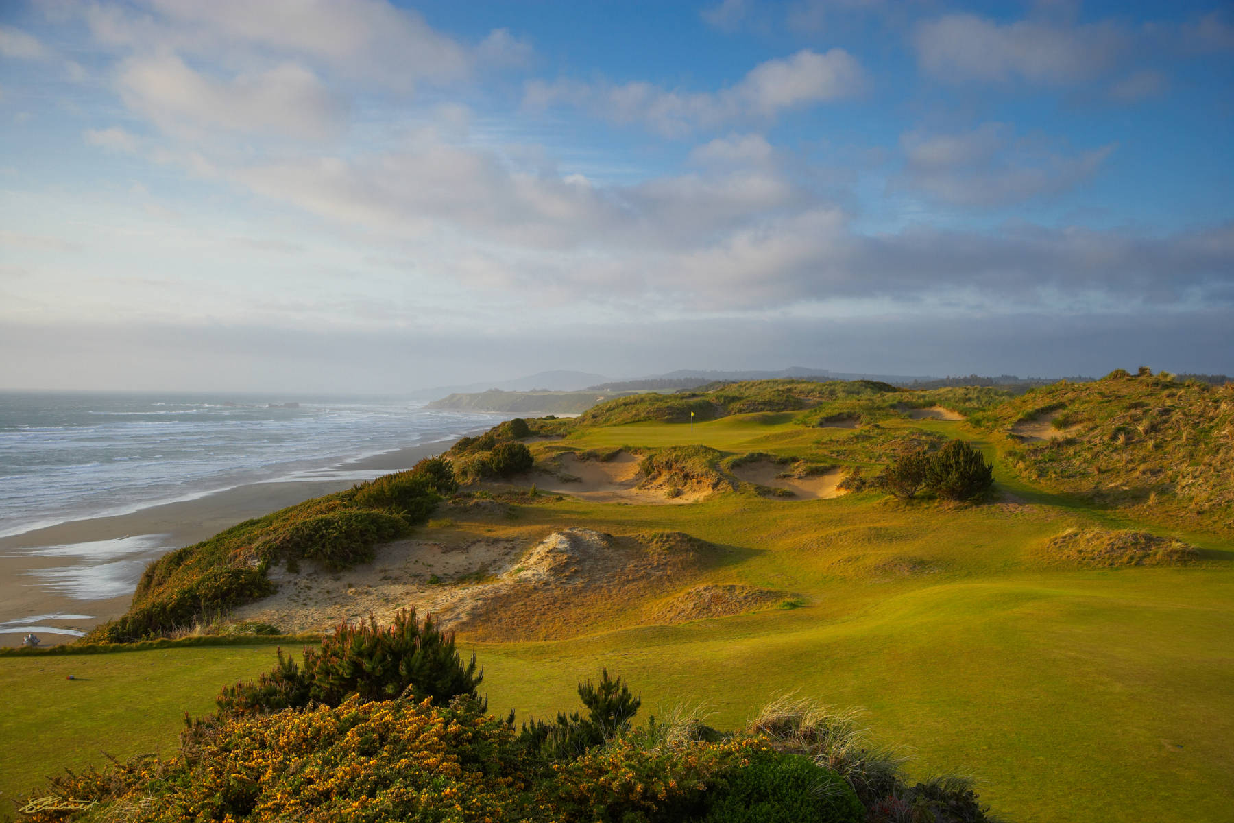 © Laurence Casey Lambrecht