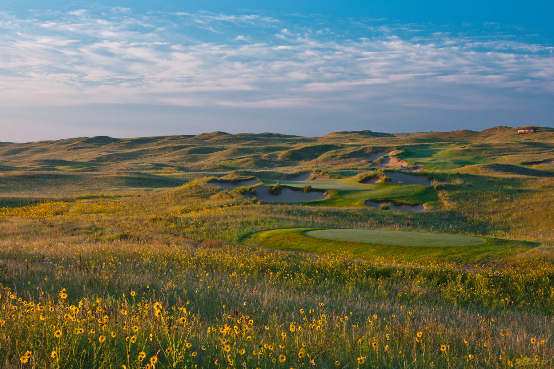 © Laurence Casey Lambrecht