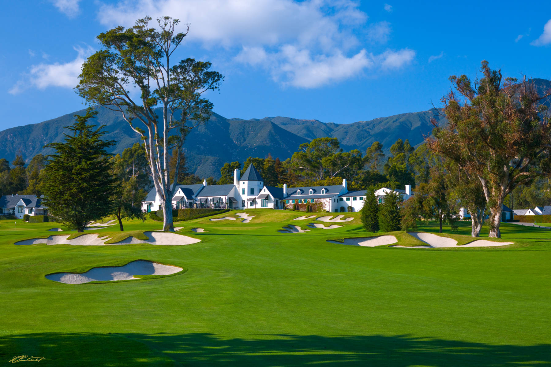 © Laurence Casey Lambrecht