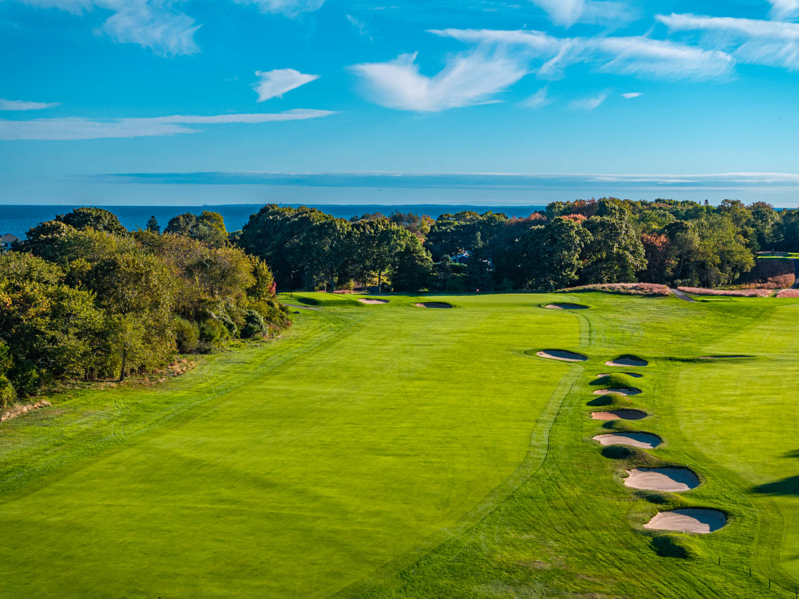 © Laurence Casey Lambrecht