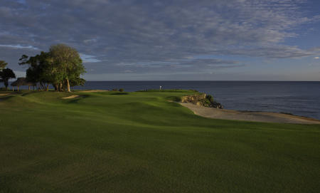 Teeth of the Dog 15th