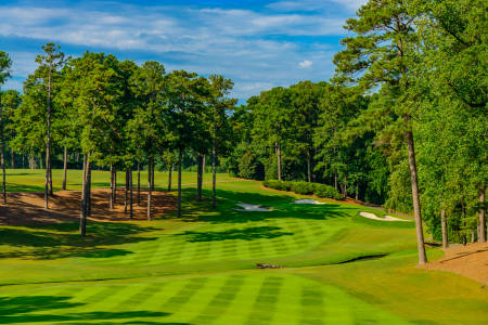 Peachtree GC #12