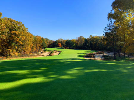 Pine Valley #13