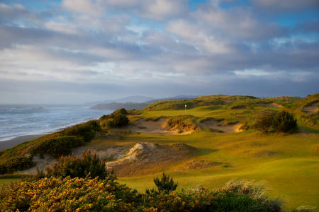 Pacific Dunes 11