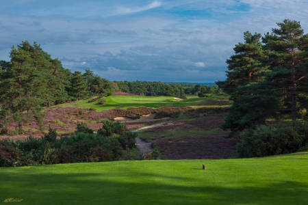 Sunningdale 5